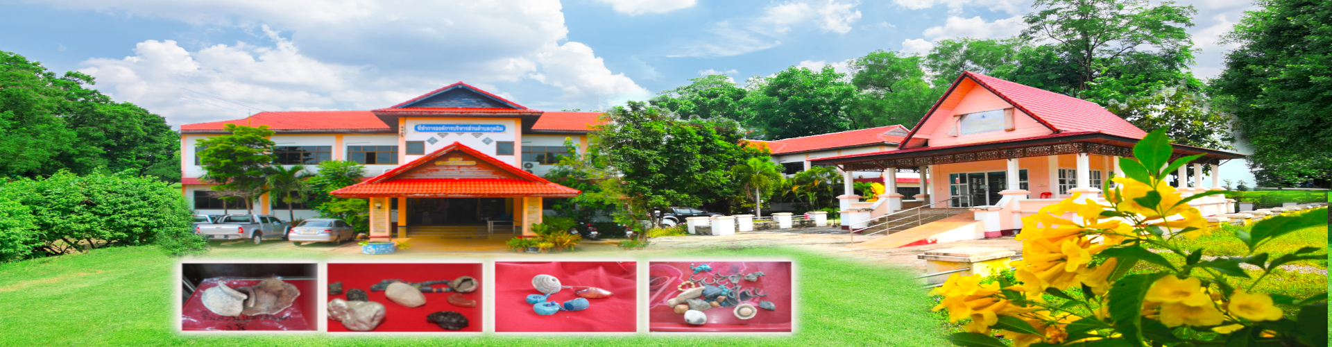 พื้นหลัง